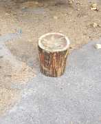 Колоды деревянные для колки дров